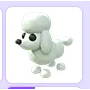 3x poodle                           