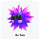 16x urchin                          