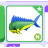 Mahi mahi neon                      