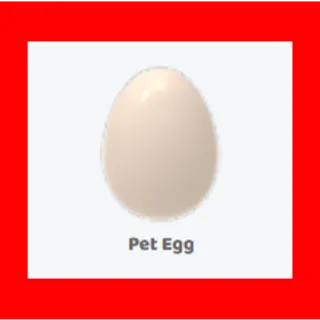 100x pet egg                        