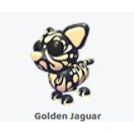 4x golden jaguar                    