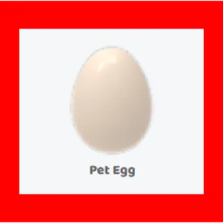   50x pet egg                       