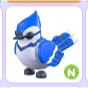 Blue jay neon                       