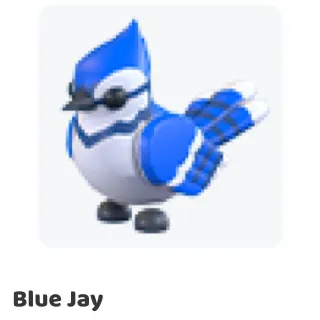 4x Blue jay                         