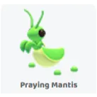 2x praying mantis                   