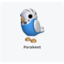 3x parakeet                         