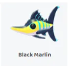 2x black marlin                     