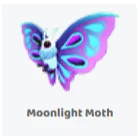 Moonlight Moth                      