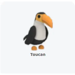 3x toucan                           