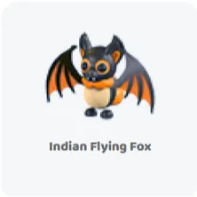 3x Indian fying fox                 