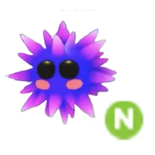 Urchin neon                         