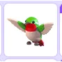 Hummingbird                         