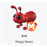 Ant mega neon                       