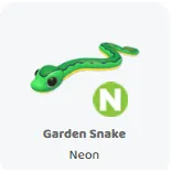 Garden snake neon                   