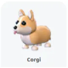 2x corgi                            