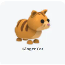 4x ginger cat                       