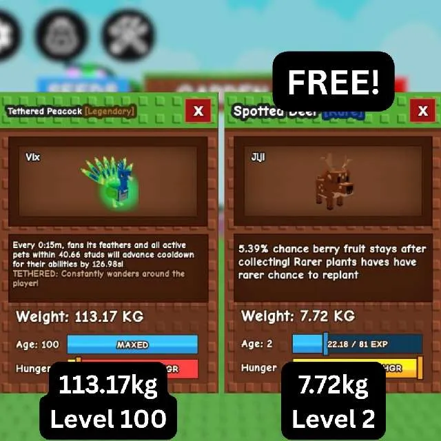 รายการภาพถ่าย