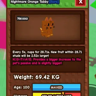 HUGE NIGHTMARE ORANGE TABBY [69.42kg - 5s CD] + FREE Space Squirrel and Red Panda