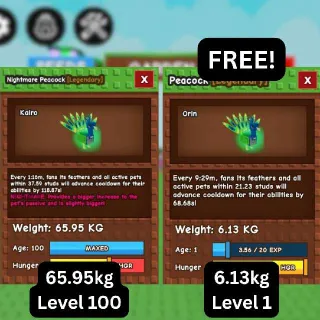 HUGE NIGHTMARE PEACOCK [65.95kg | 15s CD Guaranteed if it's level 125] (Huge, Titanic, Godly, Colossal) SALE/DISCOUNT