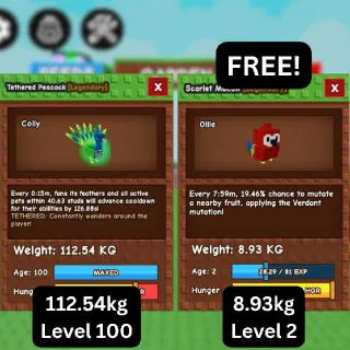 CHEAP GODLY TETHERED PEACOCK [112.54kg] + FREE TITANIC Scarlet Macaw (Huge, Titanic, Godly, Colossal) SALE/DISCOUNT