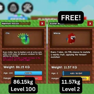 CHEAP TITANIC NIGHTMARE PEACOCK [86.15kg] + FREE GODLY Scarlet Macaw (Huge, Titanic, Godly, Colossal) SALE/DISCOUNT