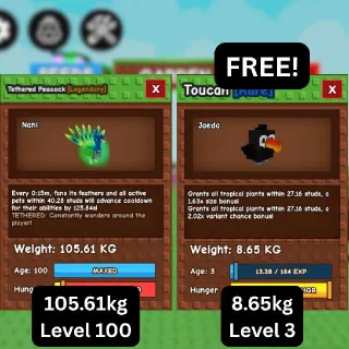 CHEAP GODLY TETHERED PEACOCK [105.61kg] + FREE TITANIC Toucan (Huge, Titanic, Godly, Colossal) SALE/DISCOUNT