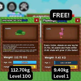 GODLY HYPERHUNGER SEA TURTLE [112.70kg | 20s CD | 2731.46 bonus EXP] + FREE GODLY Flamingo
