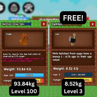 GODLY NIGHTMARE ORANGE TABBY [93.84kg] + FREE TITANIC Ostrich (Huge, Titanic, Godly, Colossal)