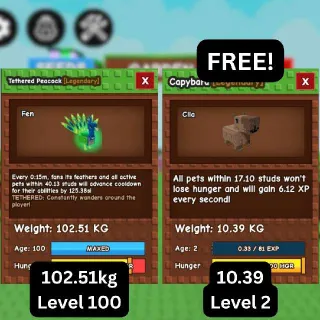 CHEAP GODLY TETHERED PEACOCK [102.51kg] + FREE GODLY Capybara (Huge, Titanic, Godly, Colossal) SALE/DISCOUNTED