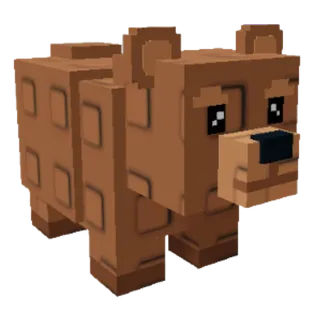 Bear
