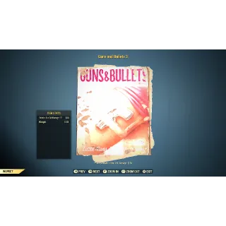 Guns and Bullets 3 x100