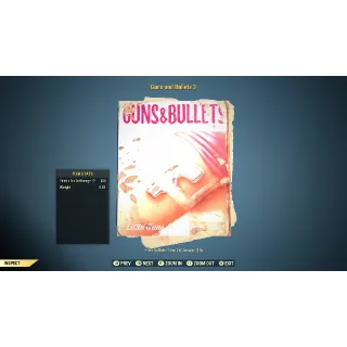 Guns and Bullet 3 x50