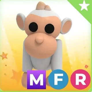 Mfr Albino Monkey