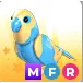 Mfr Diamond Amazon