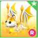 Fairy bat dragon r