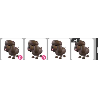  adopt me exotic pack read desc