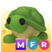 Mfr Turtle