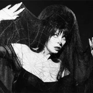 𝒎𝒊𝒅𝒏𝒊𝒈𝒉𝒕 𝒔𝒉𝒐𝒑 ☥