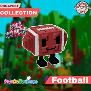 Football pet