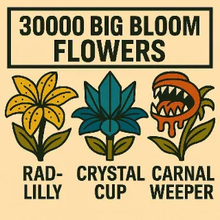 30000 Big Bloom Flowers
