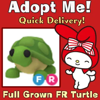 Full Grown FR Turtle