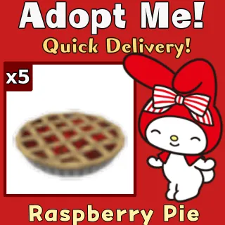 x5 Raspberry Pie