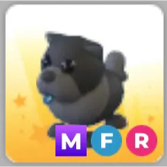 MFR Black Chow Chow