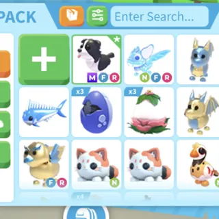 Border Collie + More