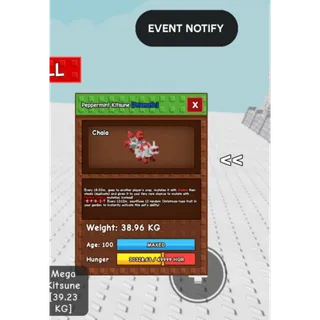 Peppermint kitsune 38kg