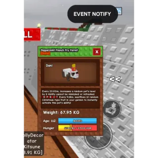 Peppermint French fry ferret 67.95kg