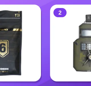 Rainbow Six Siege Twitch Drops (2 Items) — Alpha Pack + SMELLS LIKE BURNING