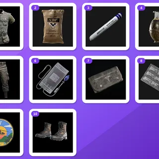 Gray Zone Warfare Twitch bundle — Vintage Blouse (Olive), Combat Ration Pack +8 more (16 items)