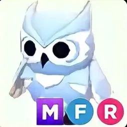MFR Snow Owl