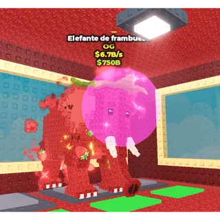 Strawberry Elephant 6.7b/s